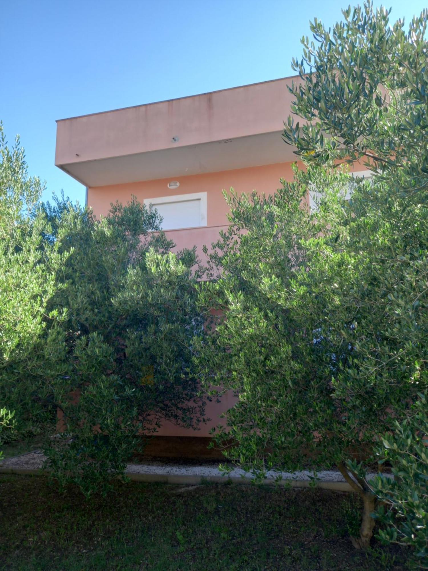 Dani Διαμέρισμα Ζαντάρ Εξωτερικό φωτογραφία